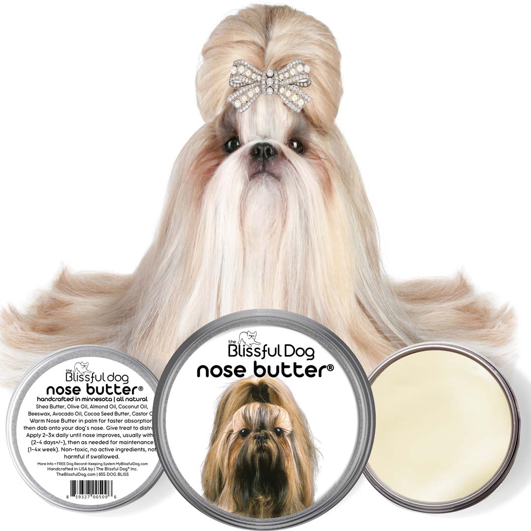 Shih Tzu Nose is Dry
